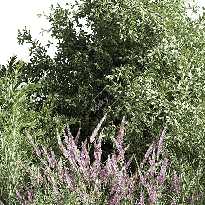 Nature's Blend: Mixed Plant & Bush 3D model image 3