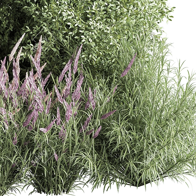 Nature's Blend: Mixed Plant & Bush 3D model image 5