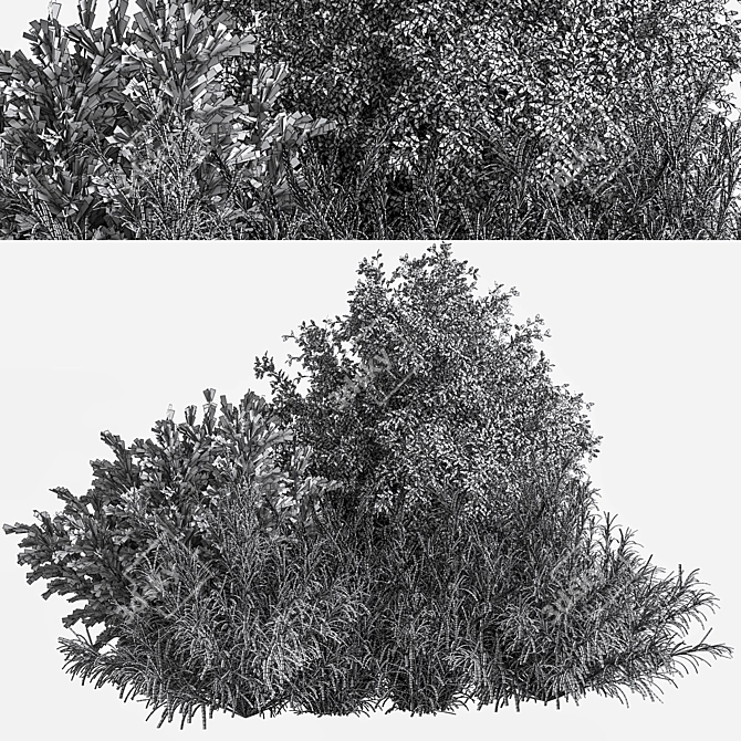 Nature's Blend: Mixed Plant & Bush 3D model image 7