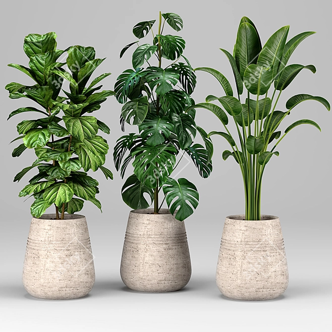 Lush Greenery Collection for Vibrant Interiors 3D model image 2