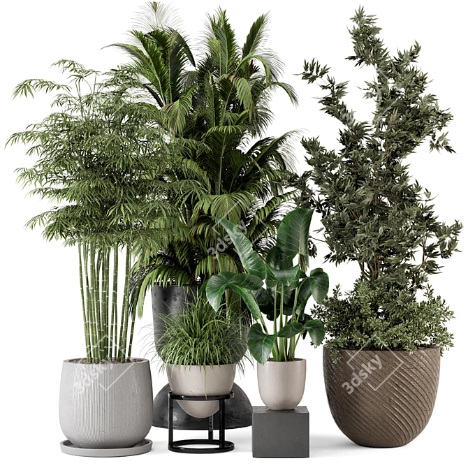Rustic Concrete Pot Indoor Plants 3D model image 1