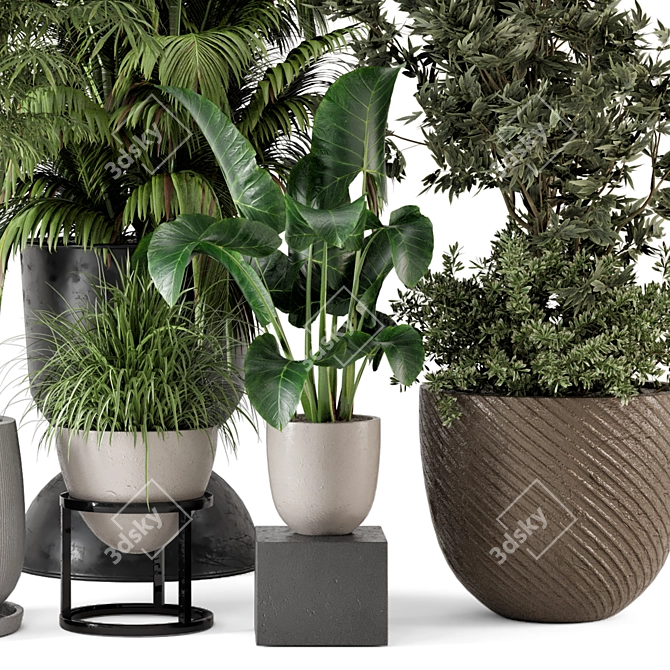 Rustic Concrete Pot Indoor Plants 3D model image 2