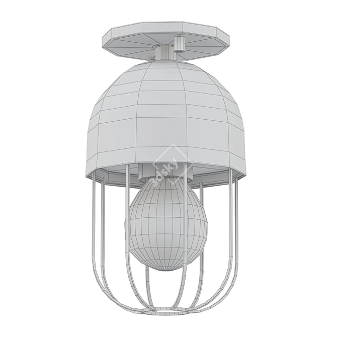 Minimalist Cage Ceiling Light 3D model image 2