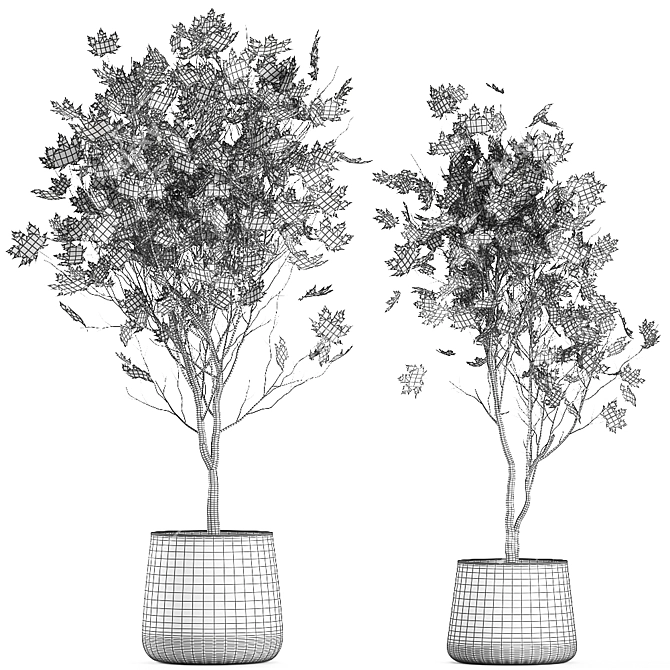 Reclaimed Rustic Plant Collection 3D model image 7