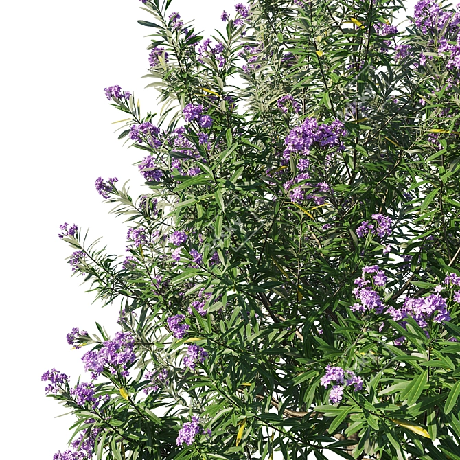 Nerium Oleander Collection: Stunning Floral 3D Model 3D model image 2