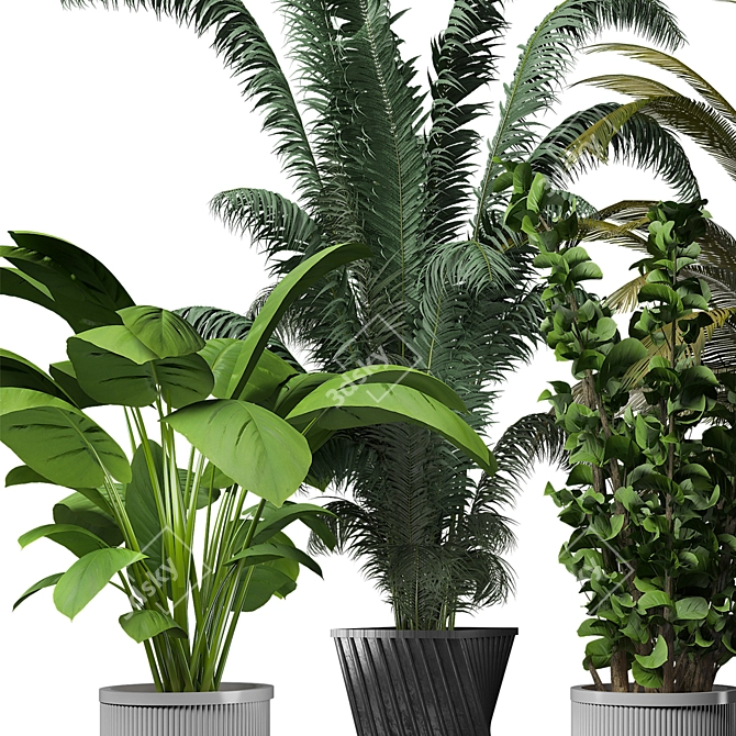 Sleek Indoor Plant Collection 3D model image 2