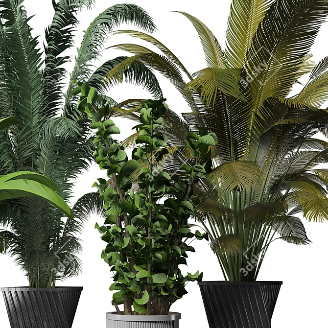 Sleek Indoor Plant Collection 3D model image 3