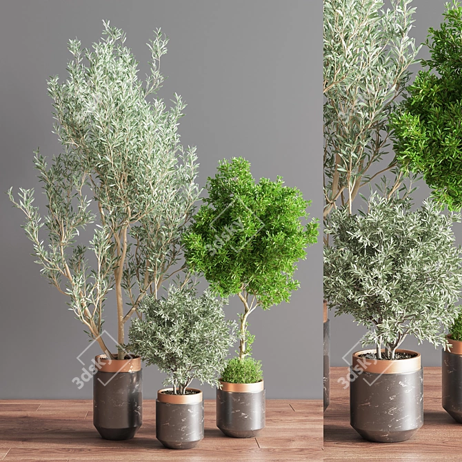 Botanical Bliss Indoor Plant Set 3D model image 3