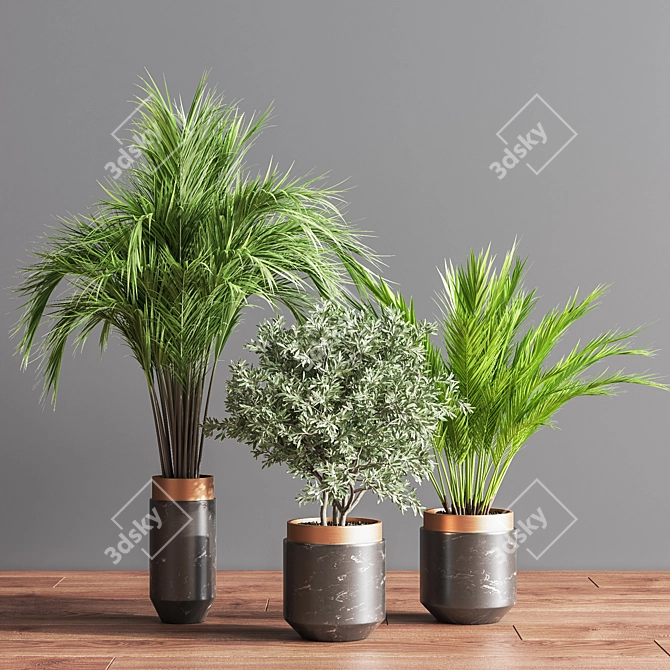 Botanical Bliss Indoor Plant Set 3D model image 4