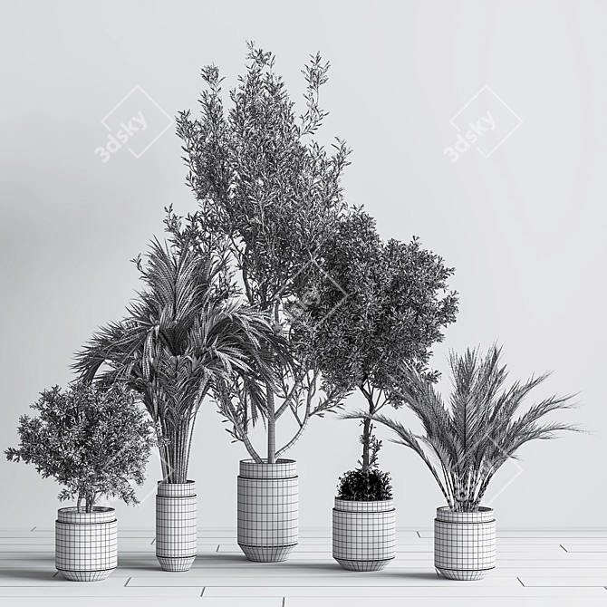 Botanical Bliss Indoor Plant Set 3D model image 5