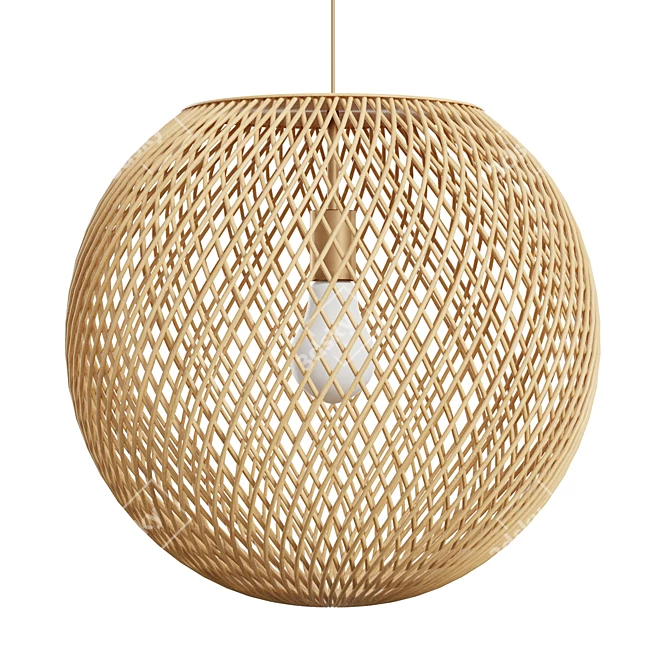 Coastal Rattan Sphere Pendant 3D model image 1