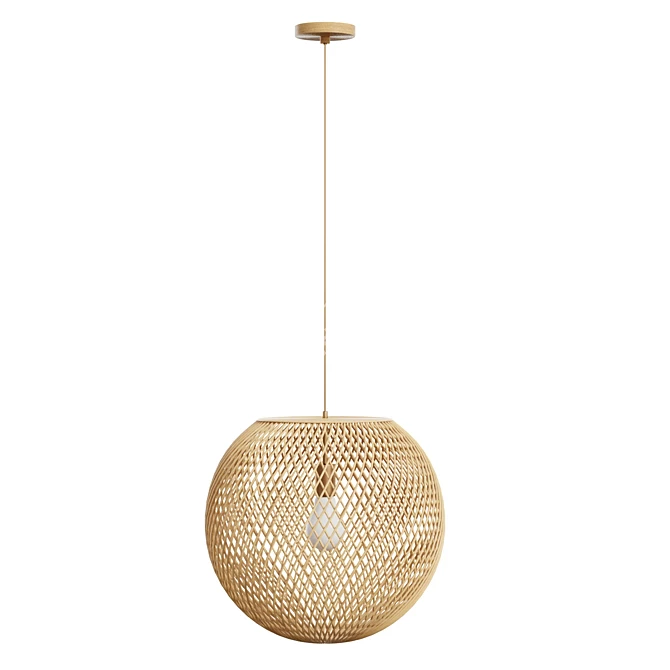 Coastal Rattan Sphere Pendant 3D model image 2