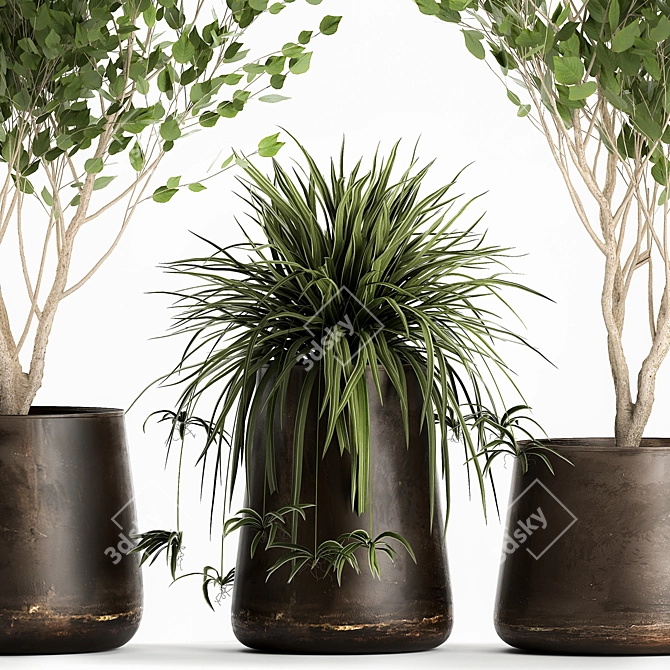 Rustic Metal Pot Plant Collection 3D model image 2