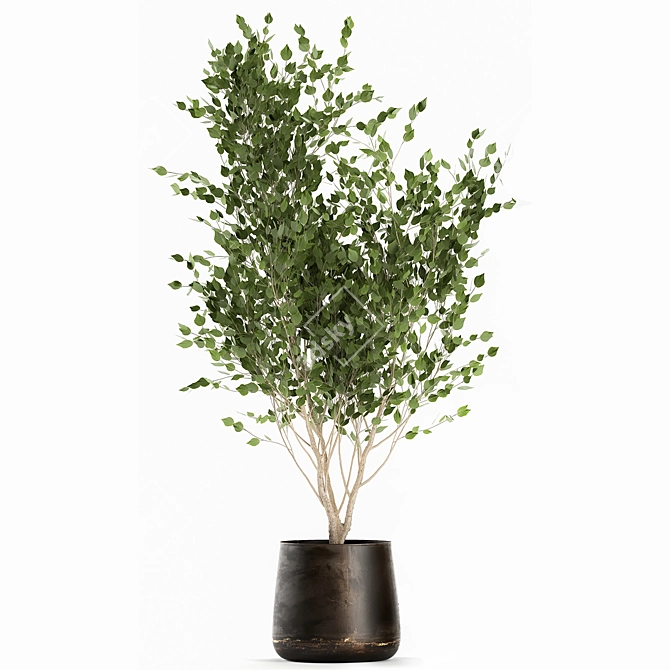 Rustic Metal Pot Plant Collection 3D model image 5