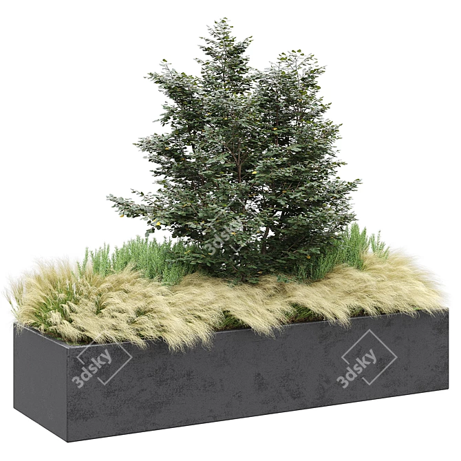 Set of Outdoor Plants 2  Beautiful Greenery for Your Outdoor Space 3D model image 1