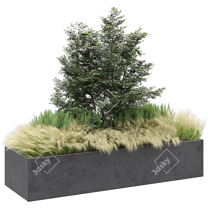 Set of Outdoor Plants 2  Beautiful Greenery for Your Outdoor Space 3D model image 2