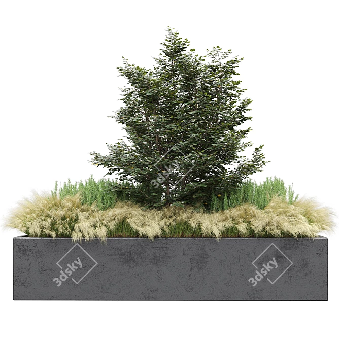 Set of Outdoor Plants 2  Beautiful Greenery for Your Outdoor Space 3D model image 4