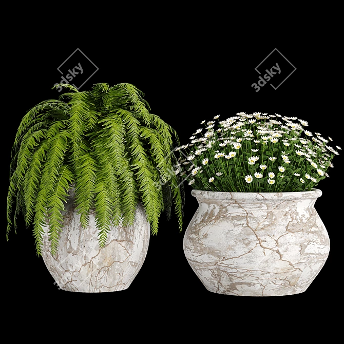 Botanical Bliss: Indoor Plant Collection 3D model image 4