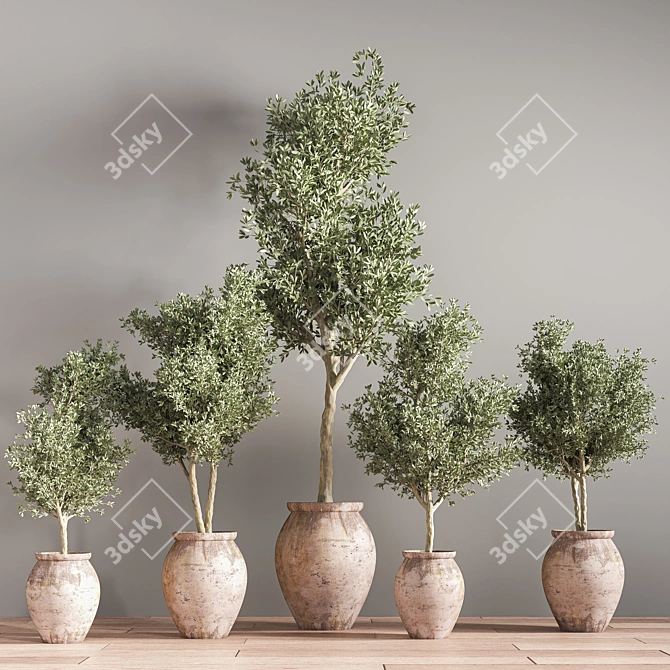 Indoor Greenery Display Stand 3D model image 2