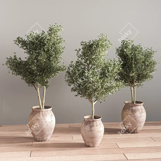 Indoor Greenery Display Stand 3D model image 3