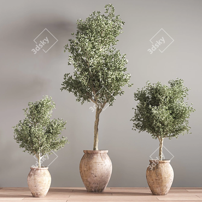 Indoor Greenery Display Stand 3D model image 4