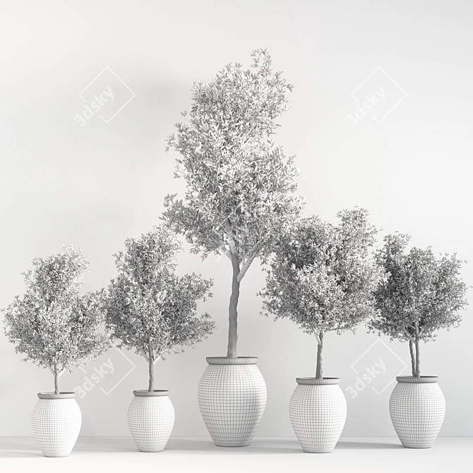 Indoor Greenery Display Stand 3D model image 7