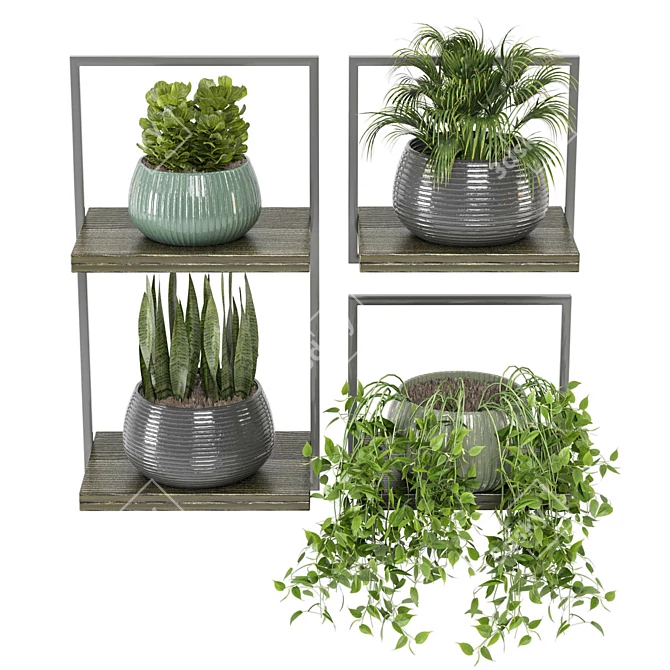 Rusty Concrete Pot Indoor Plants 3D model image 2