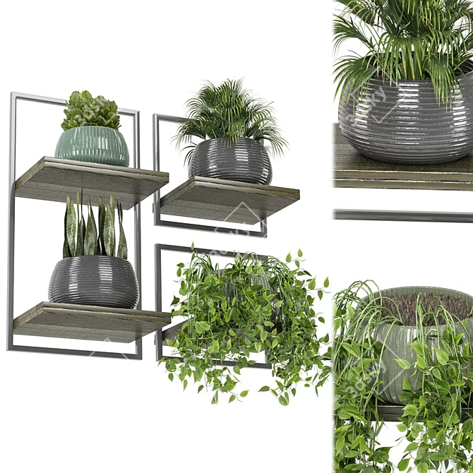 Rusty Concrete Pot Indoor Plants 3D model image 3