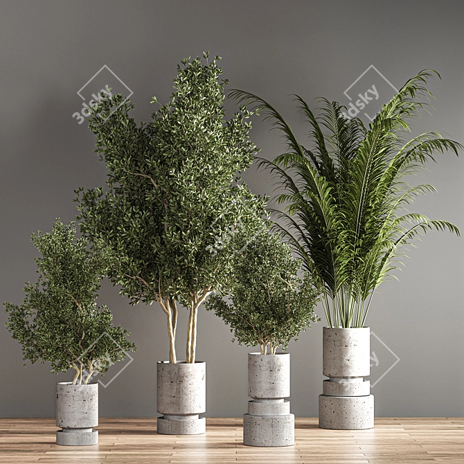 14-Piece Indoor Plant Set 3D model image 2