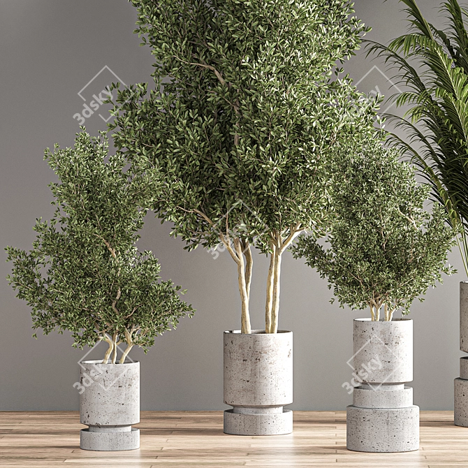 14-Piece Indoor Plant Set 3D model image 4