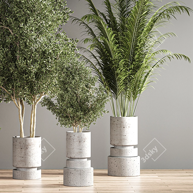 14-Piece Indoor Plant Set 3D model image 5