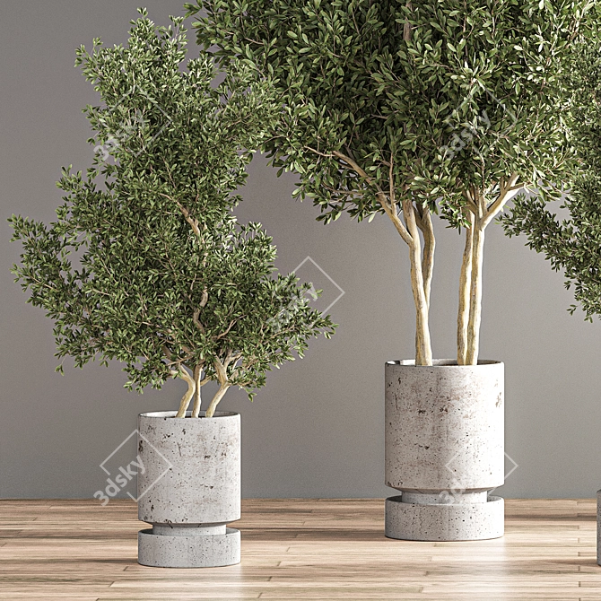 14-Piece Indoor Plant Set 3D model image 6