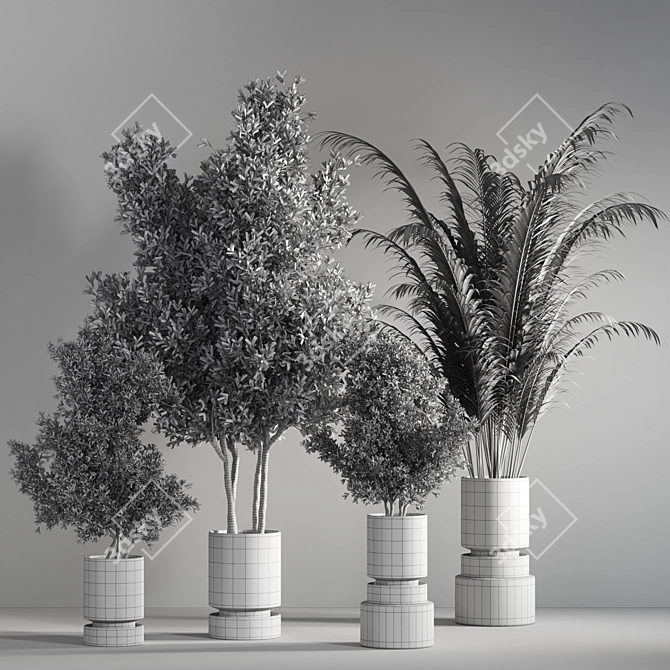 14-Piece Indoor Plant Set 3D model image 7
