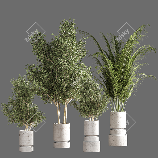 14-Piece Indoor Plant Set 3D model image 8