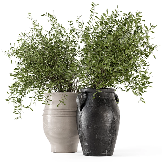 Rustic Outdoor Plants in Concrete Pot 3D model image 4