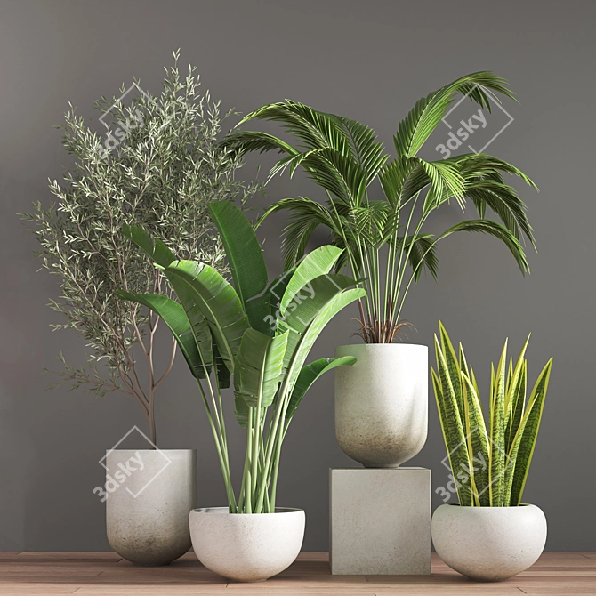 10-Piece Indoor Plant Set 3D model image 2