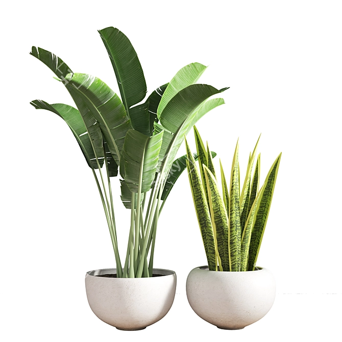 10-Piece Indoor Plant Set 3D model image 3