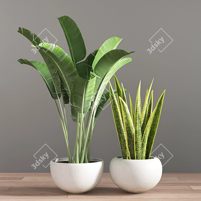 10-Piece Indoor Plant Set 3D model image 4