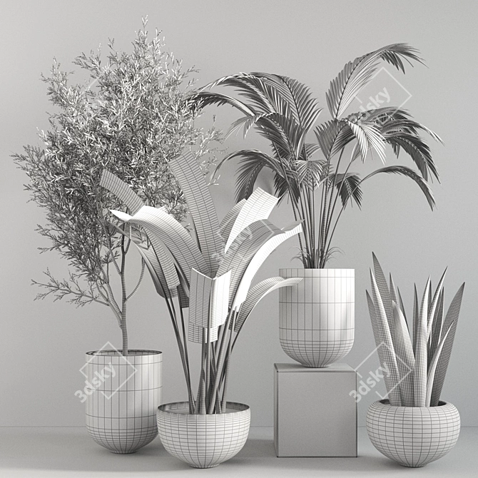 10-Piece Indoor Plant Set 3D model image 7