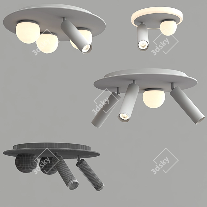 Rotating Ball Ceiling Lamp 3D model image 3