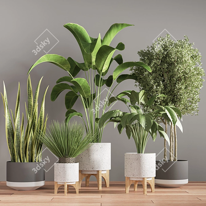  Modern Indoor Plant Stand 3D model image 2
