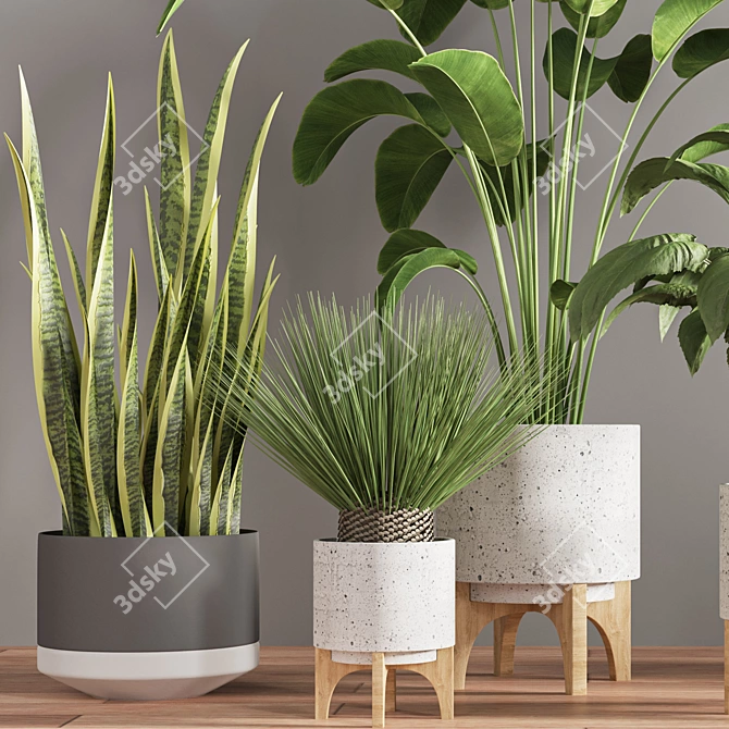  Modern Indoor Plant Stand 3D model image 5