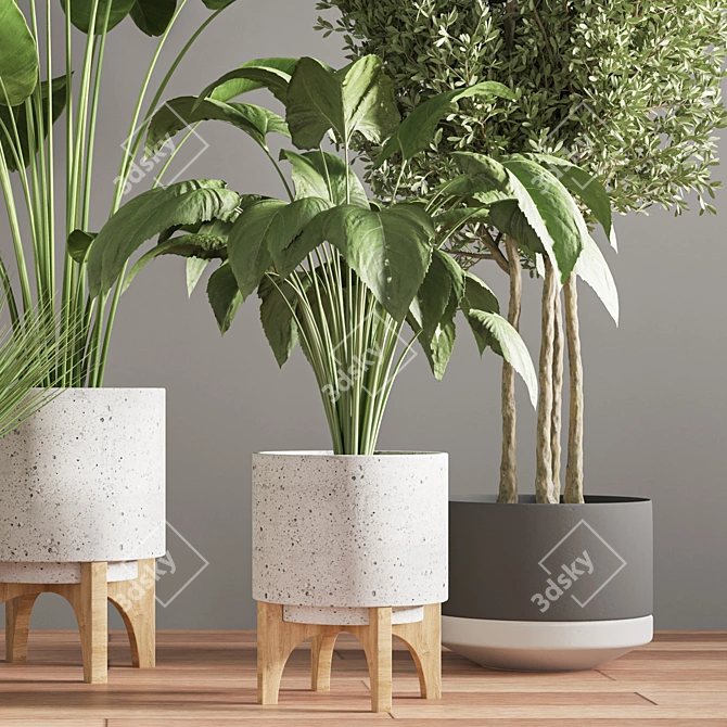  Modern Indoor Plant Stand 3D model image 6