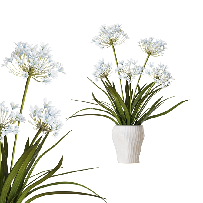 Outdoor Agapanthus Drop-In Plant 3D model image 1