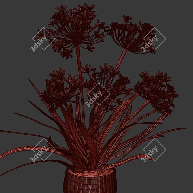 Outdoor Agapanthus Drop-In Plant 3D model image 4