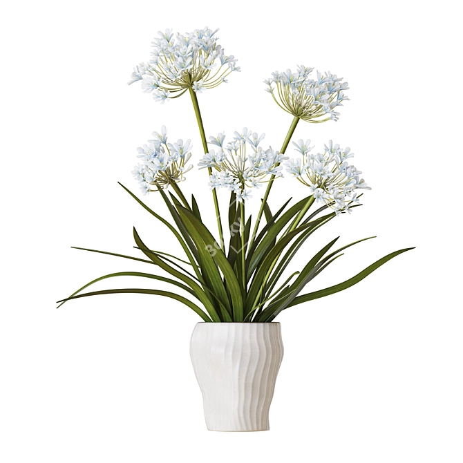 Outdoor Agapanthus Drop-In Plant 3D model image 5