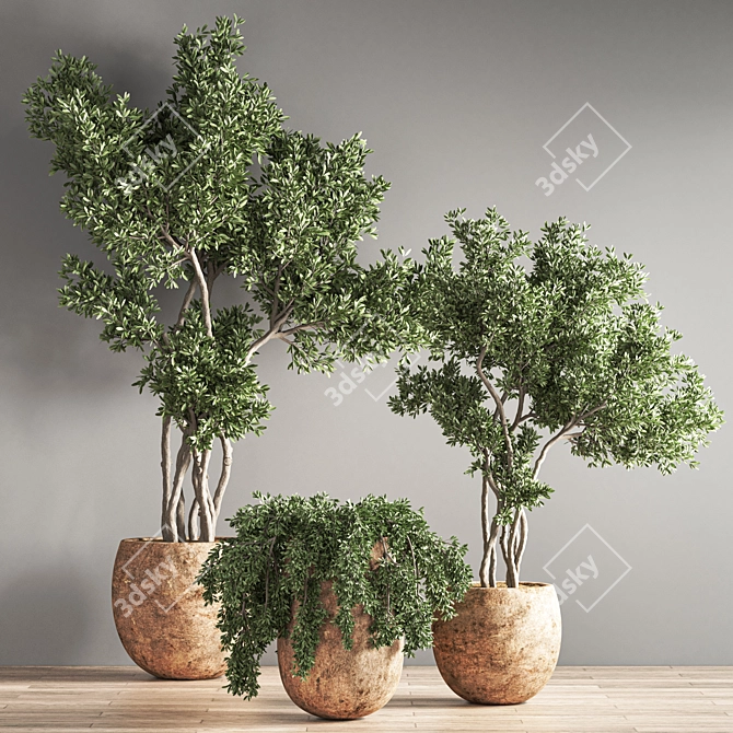 Green Oasis Indoor Plant Set 3D model image 3