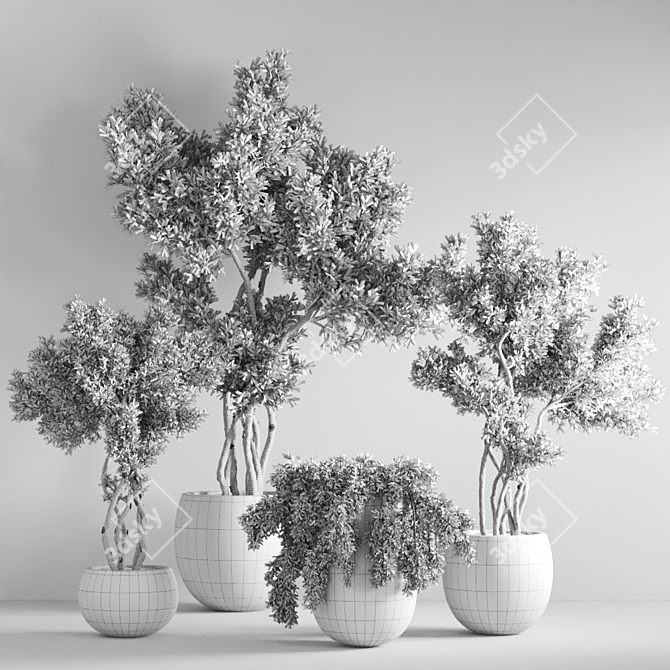 Green Oasis Indoor Plant Set 3D model image 7