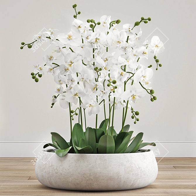 Elegant Orchid Arrangement 3D model image 1