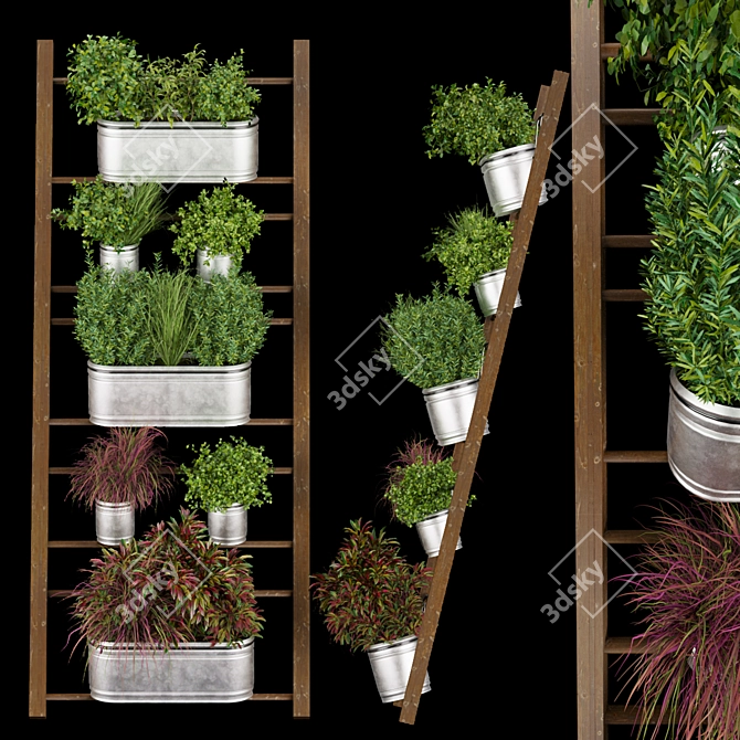 Indoor Hanging Plant Collection 3D model image 1